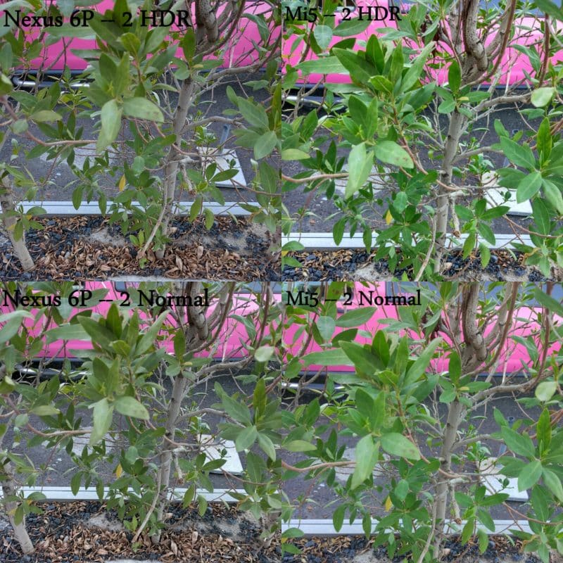 Mi5 vs Nexus6p 2